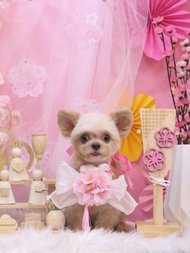 20250301なうちゃん